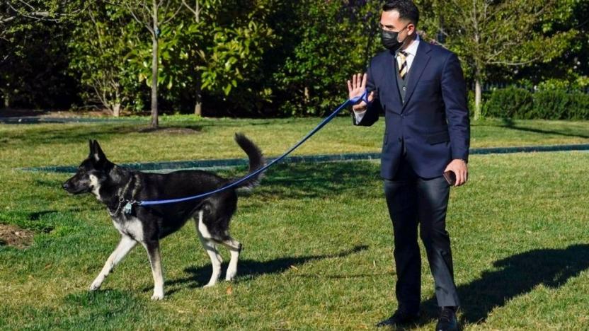 Joe Biden'ın köpeği 'Binbaşı', bir ay içinde ikinci Beyaz Saray çalışanını ısırdı