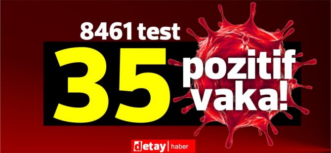 Toplam 8461 test yapıldı, 31'i yerel 35 pozitif vaka
