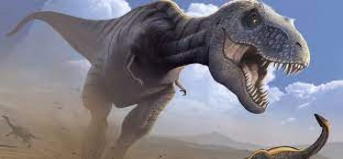 Dünyada 2,5 Milyar T-Rex Dinozor Türü Yaşamış Olduğu Tahmin Ediliyor