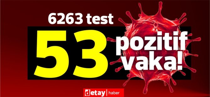 6263 test yapıldı, 46'sı yerel 53 pozitif vaka
