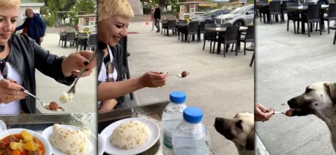Köpeğe kaşıkla yemek yedirdi, sosyal medyada tartışma konusu oldu
