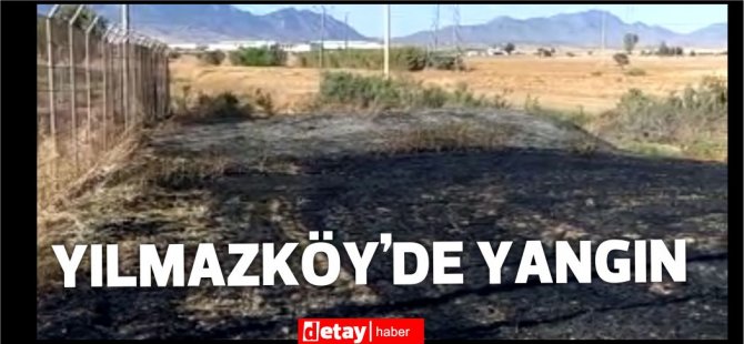 Yılmazköy'de çıkan arazi yangınında elektrik trafosu yandı
