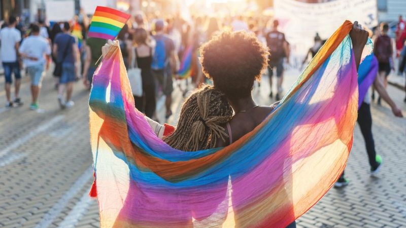 Farklı LGBTİ+ bayrakları neleri temsil ediyor, ne anlama geliyor?