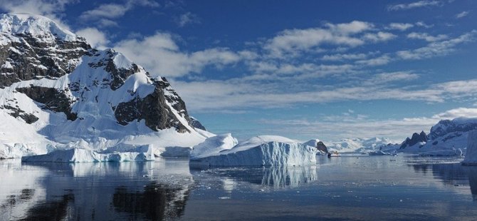 Bilim İnsanları, Antarktika'da Yeni Bir Bitki Türü Keşfetti