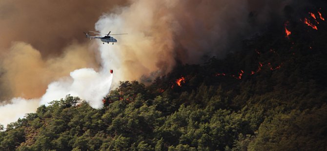 Marmaris'teki orman yangının nedeni belli oldu