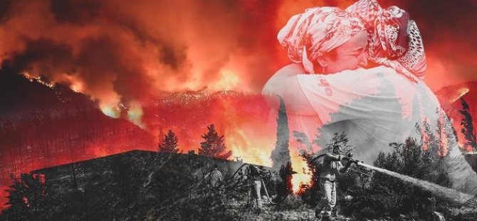 Türkiye'nin 3 ilinde orman yangınlarıyla mücadele sürüyor