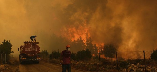 İklim değişikliği: Bu yaza damga vuran orman yangıları, sıcak hava dalgaları ve sel felaketleri