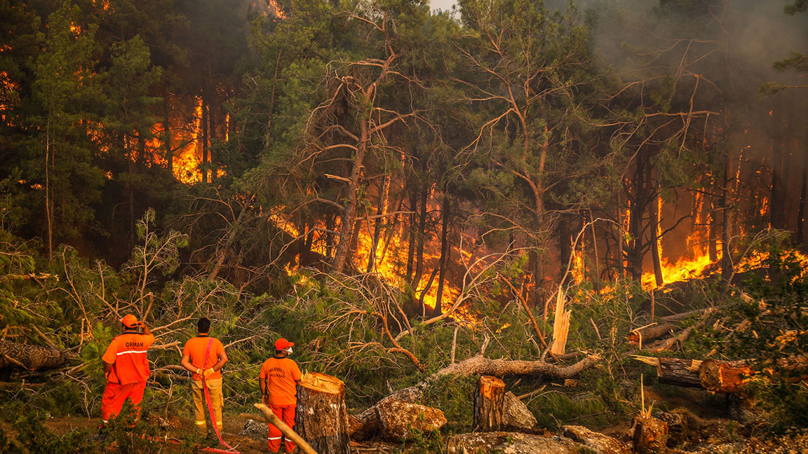 Türkiye, 8 gündür orman yangınları ile mücadele ediyor: 5 ilde, 14 yangın sürüyor