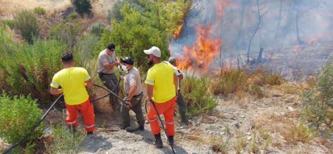 Orman Dairesi Ekibi Alanya’daki Yangına Müdahale Ediyor