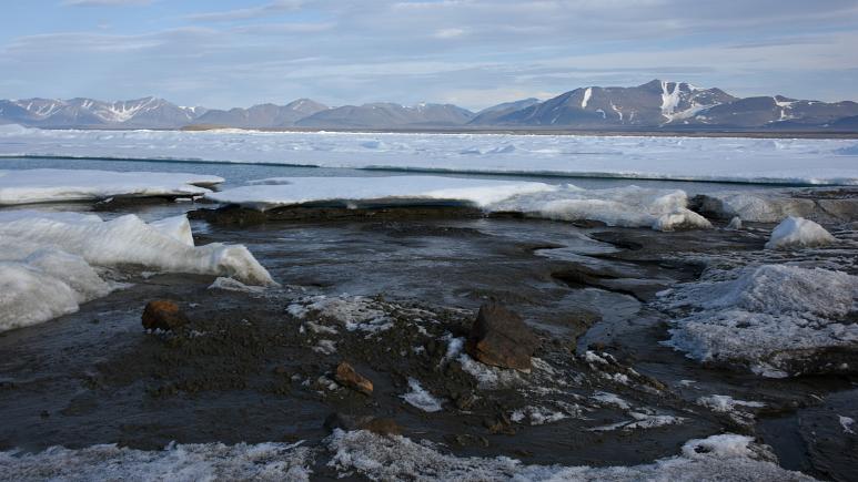 Grönland'da tesadüfen "dünyanın en kuzey kara parçası" keşfedildi