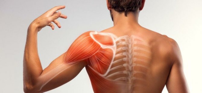 kas agrisina ne iyi gelir nasil gecer