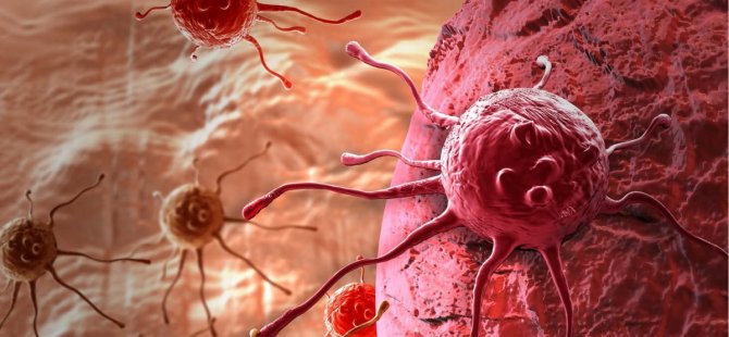 Zayıf bağışıklık sistemi, jinekolojik kanserleri tetikliyor