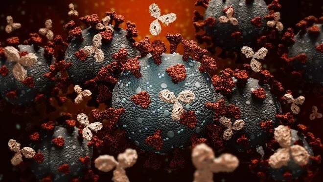 Oxford aşısını geliştiren bilim insanı: Virüsün daha ölümcül mutasyona uğrayacak yeri kalmadı