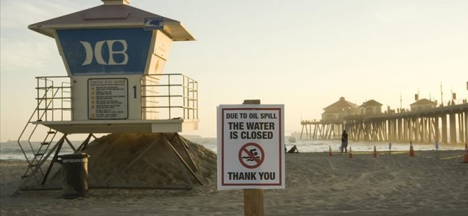 California'da petrol sızıntısı deniz yaşamını tehdit ediyor