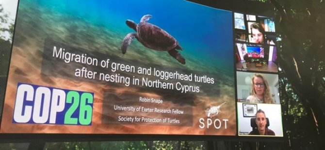 SPOT: Deniz kaplumbağalarının korunması için halkımızı daha duyarlı davranmaya çağırıyoruz