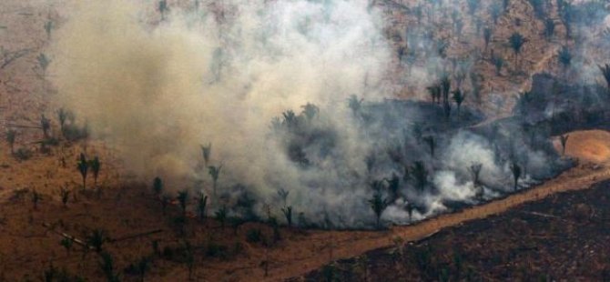 Amazonlar orman tahribatında 15 yılın en üst seviyesinde