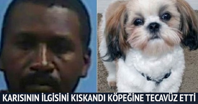 Karısının ilgisini kıskanınca köpeğe tecavüz etti!