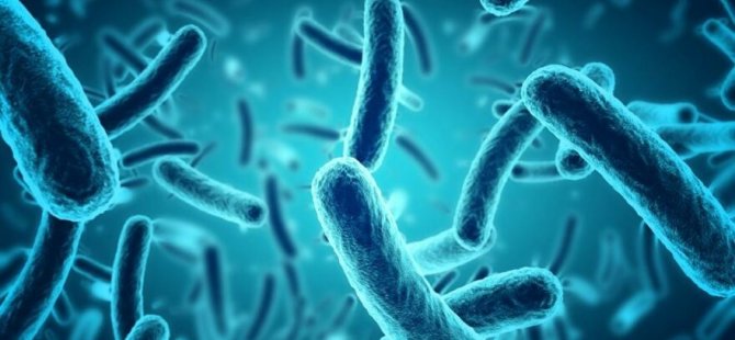 Cinsel Yolla Bulaşan Hastalık Ortaya Çıktı: Antibiyotiğe Dayanıklı Bakteri Paniği Yaşanıyor