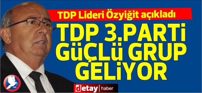 "TDP 3. Parti, Meclis'e güçlü bir grupla gireceğiz..."