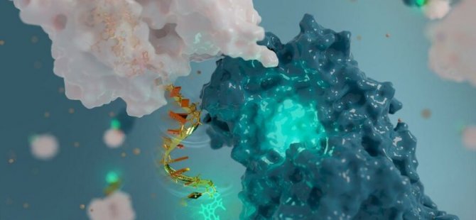 Sentetik DNA İle Nano-Anten Geliştirildi