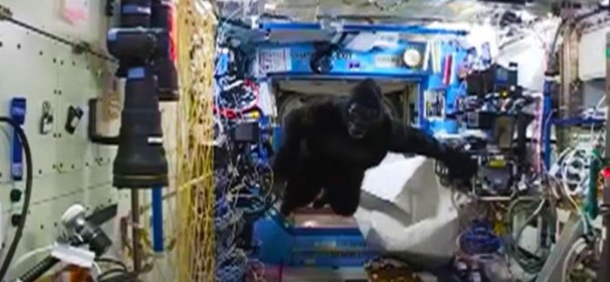 Uzayda Goril Kostümü Giyen NASA Astronotu Nedenini Açıkladı