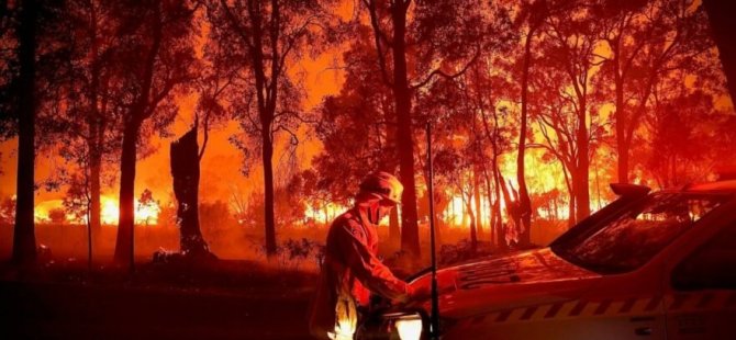 Avustralya’da Orman Yangını: 60 Bin Hektar Alan Küle Döndü