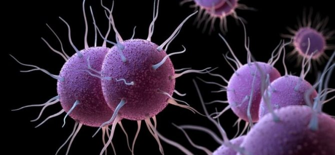 Uzmanlar Uyardi: Cinsel Yolla Bulaşan Antibiyotiğe Dayanikli Bakteri Yayiliyor