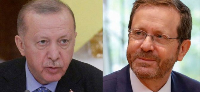 Erdoğan-Herzog görüşmesi öncesinde çarpıcı yorum: Birbirleriyle uyumsuzlar ama…