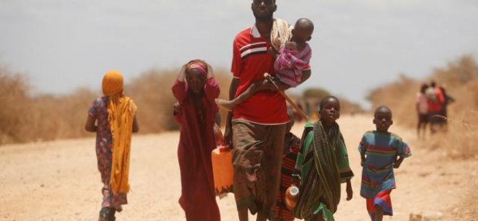 Afrika'da 40 yılın en şiddetli kuraklığı yaşanıyor
