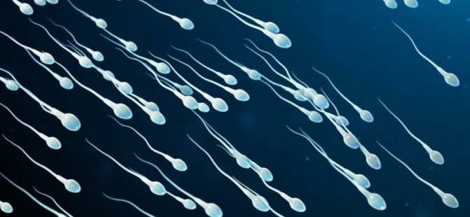 Uzmanlar açıkladı: Sağlıklı sperm için bu besinlerden uzak durun, torunlarınızı da etkileyebilir
