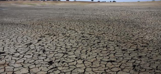 İtalya'da kuraklık alarmı: Tarım üretimi '% 30 düşebilir'