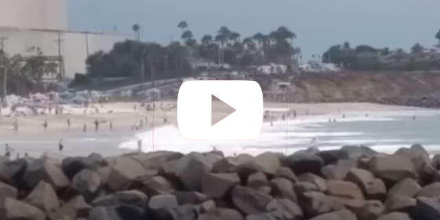 Uçak plaja çakıldı [Video]