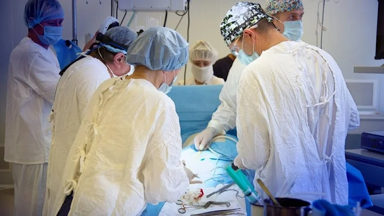 İsveç’te organ nakli için referandum yapıldı: Kabul edildi