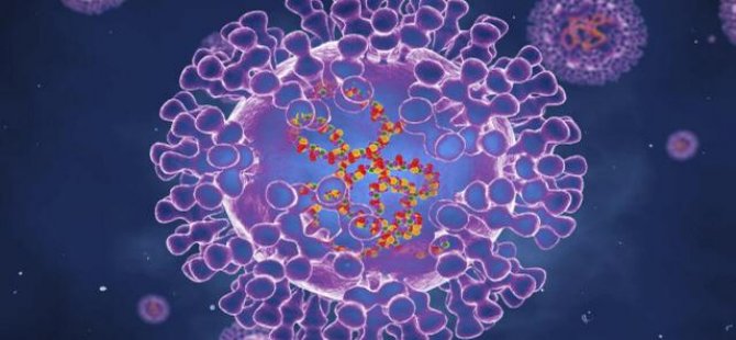Virolog Tareen: Maymun çiçeği virüsüne karşı Çiçek aşısı etkili
