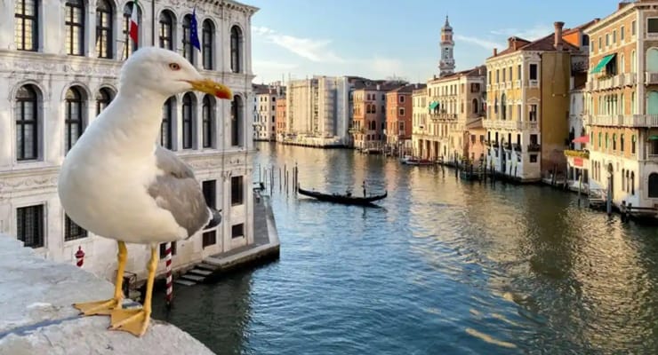 Venedik’e giriş ‘günübirlikçiler’ için ücretli ve rezervasyonla olacak