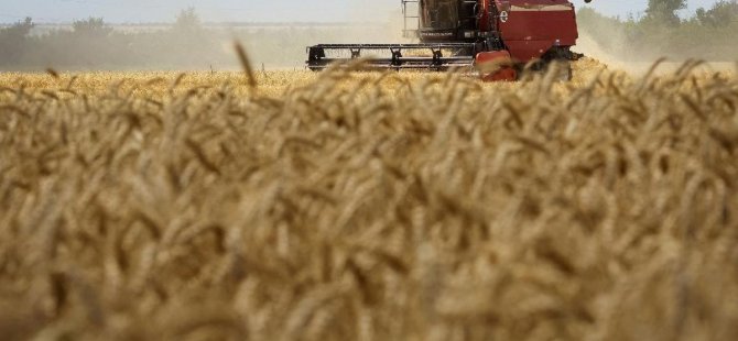 Ukrayna: Tahıl ihracatı birkaç gün içinde başlayabilir