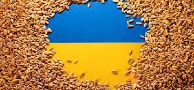 Ukrayna'dan tahıl sevkiyatı başlıyor