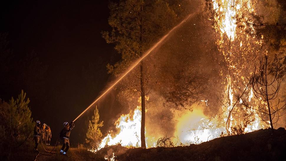 İtalya'da orman yangını:120 kişi tahliye edildi