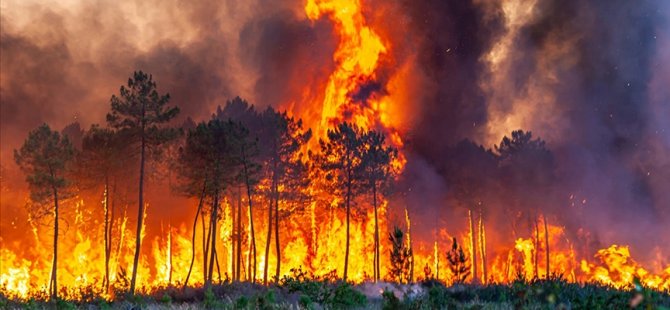 Fransa'daki orman yangını: Her dakika 10 futbol sahası kül oluyor