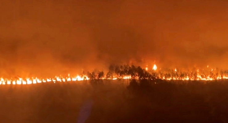 Fransa’da bu yıl yangınlar nedeniyle en az 57 bin hektar yeşil alan zarar gördü