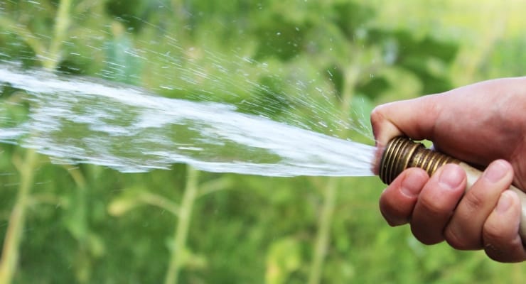 Britanya’da kuraklık: Önde gelen su şirketinden ‘hortum yasağı’