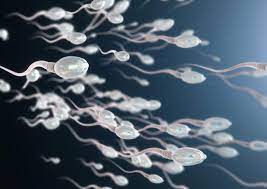 Covid-19 hastalığı sperm kalitesi ve sayısını aylarca olumsuz etkiliyor