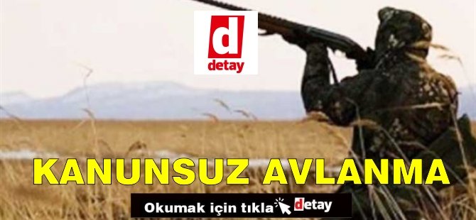 Karpaz'da Kanunsuz Avlanmak