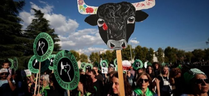 İspanya’da boğa güreşlerinin yasaklanması için Madrid’de gösteri düzenlendi