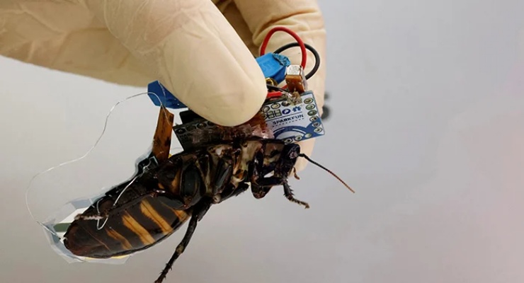 Japonya afetlere robotik hamam böcekleriyle hazırlanıyor