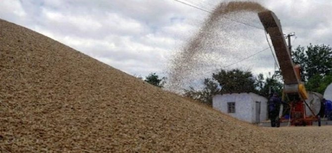 Rusya’nın tahıl iddiası büyük yankı uyandırmıştı! Fransa’dan açıklama geldi