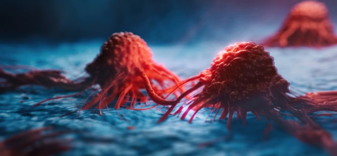 Yakın Doğu Üniversitesi araştırmacıları, karaciğer kanseri tedavisinde etkili olan yeni bir molekül belirledi