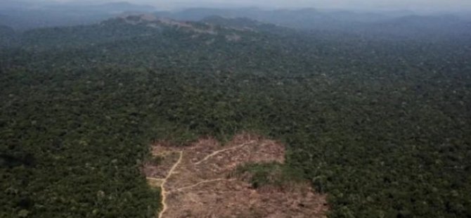 Dünyanın akciğerinde korkunç yıkım: Günde 3 bin futbol sahası büyüklüğünde orman…