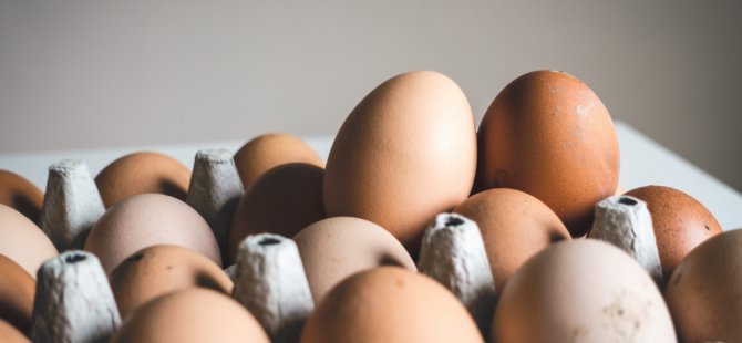 Kuş gribi salgını ve enflasyon, ABD'de yumurta fiyatlarını uçurdu