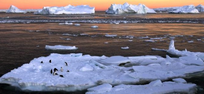 Antarktika’da deniz buzu rekor düşük seviyede